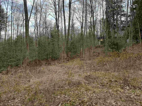 Lot U Spring Hill Road Campton NH 03223