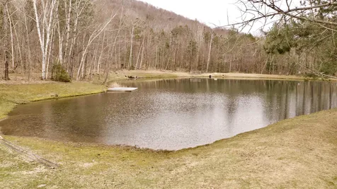 391 Falcon Loop East Rochester VT 05767