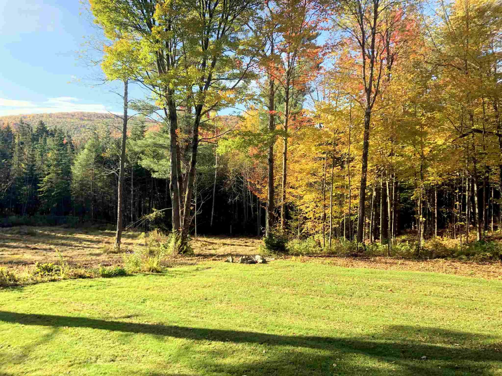 5720 155 Route Mount Holly VT 05758
