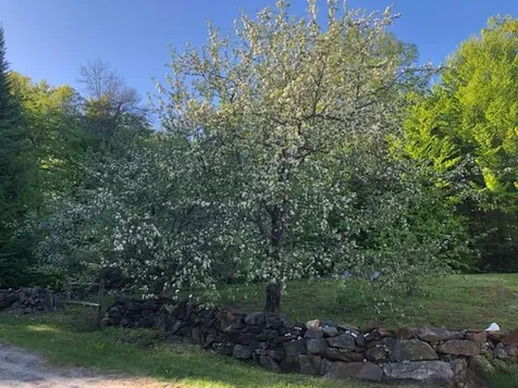 3056 Macks Mountain Road Peacham VT 05862