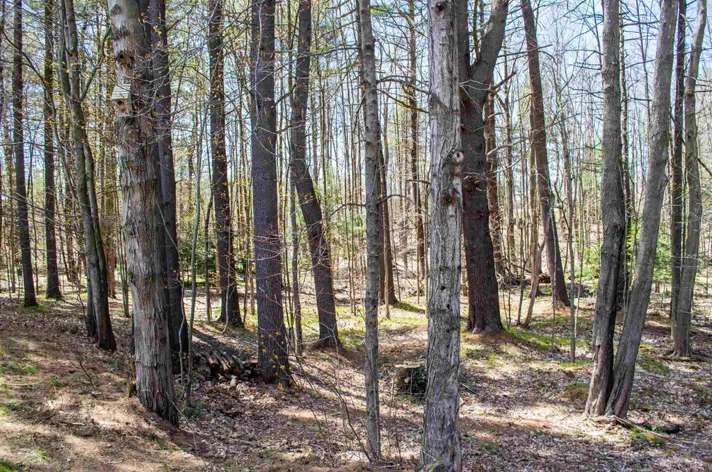 13 Pinecrest Road Jaffrey NH 03452