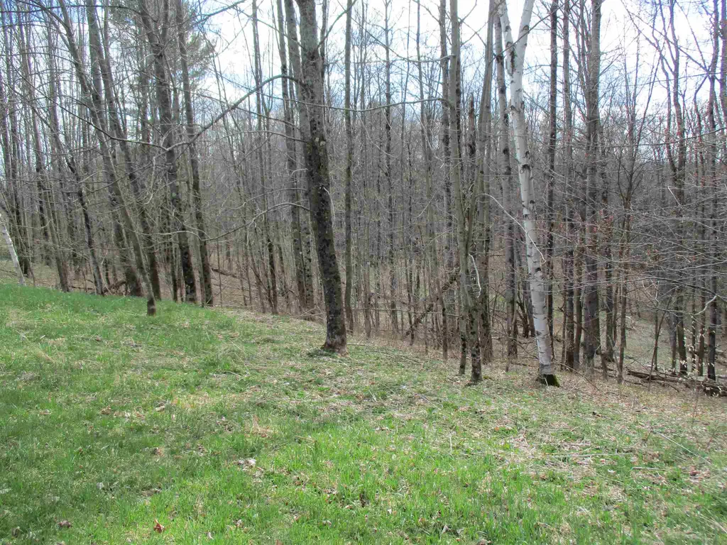 0 Ferris Road Brookfield VT 05036