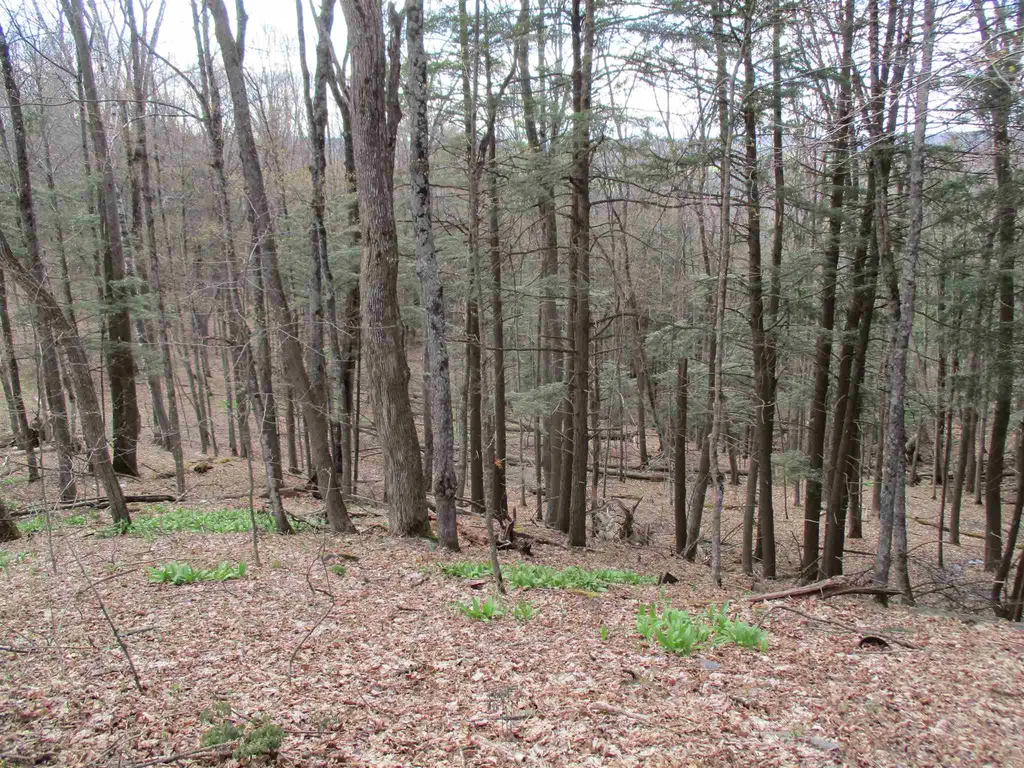 0 Ferris Road Brookfield VT 05036