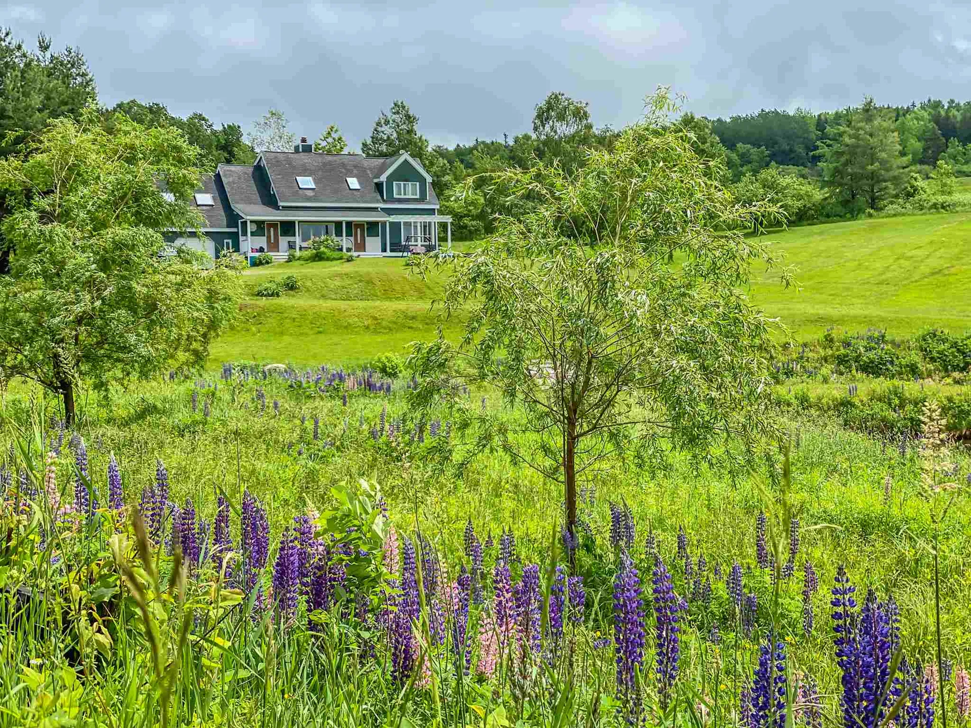 215 Stowe Hill Road Wilmington VT 05363