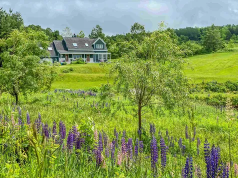 215 Stowe Hill Road Wilmington VT 05363