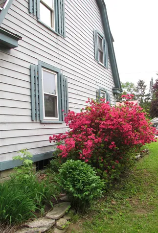 96 Edward Heights Brattleboro VT 05301