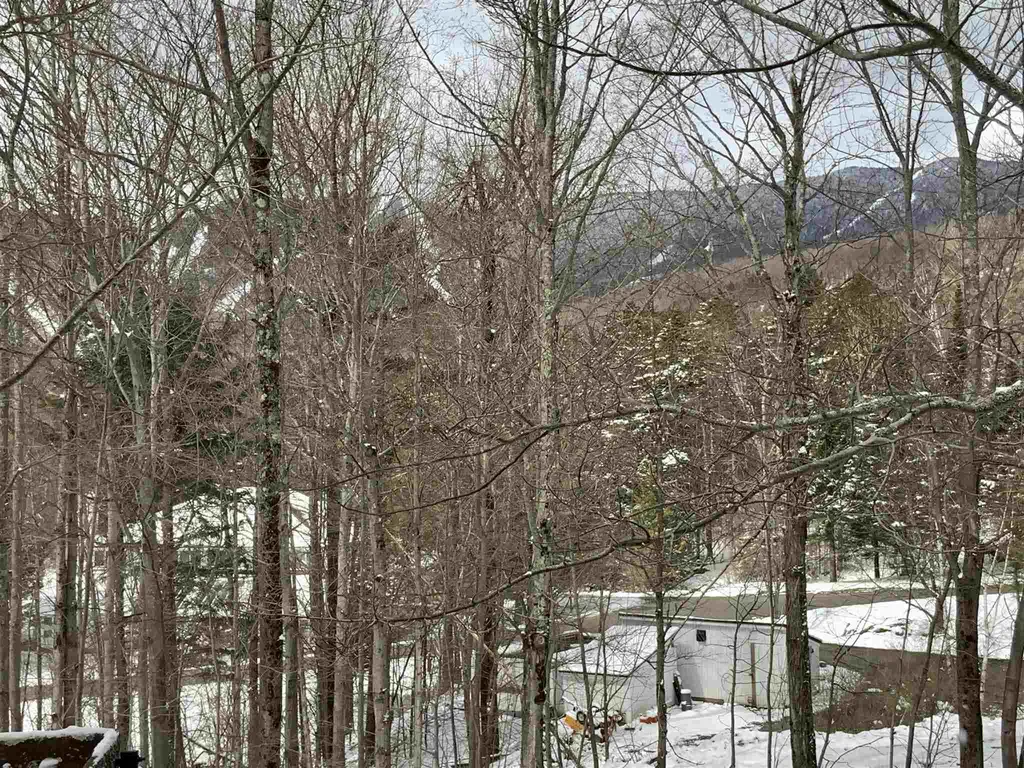 114 Club Sugarbush North Road Warren VT 05674