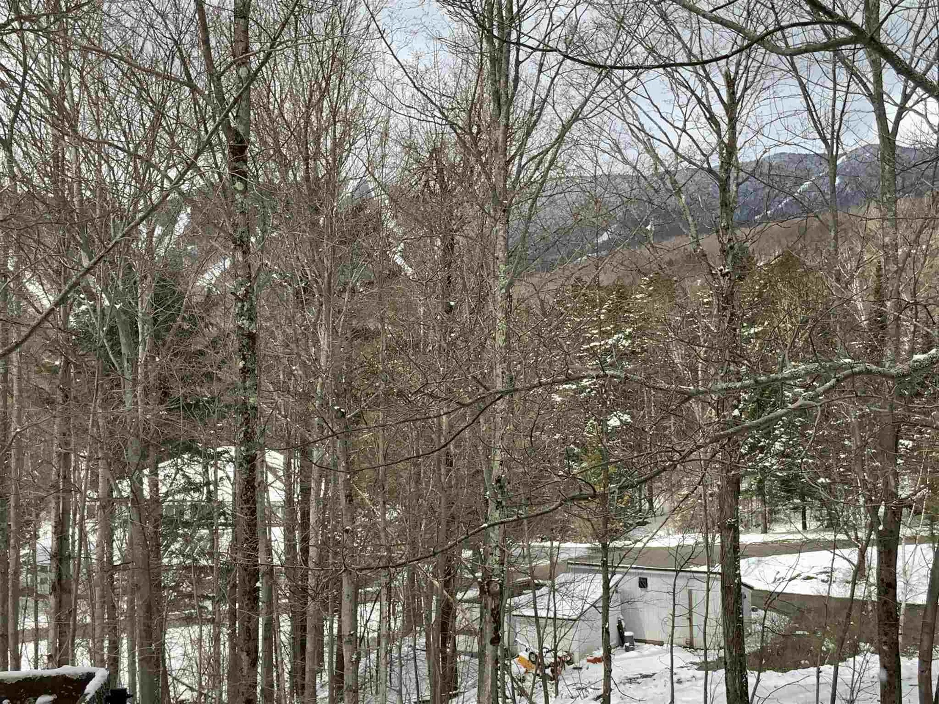 114 Club Sugarbush North Road Warren VT 05674