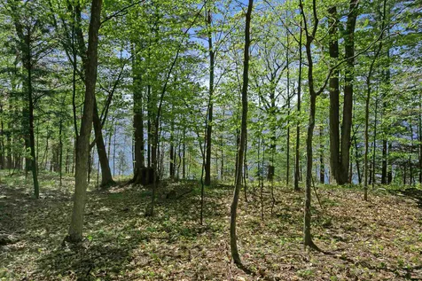 3685 Harbor Road Shelburne VT 05482