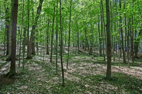 3685 Harbor Road Shelburne VT 05482