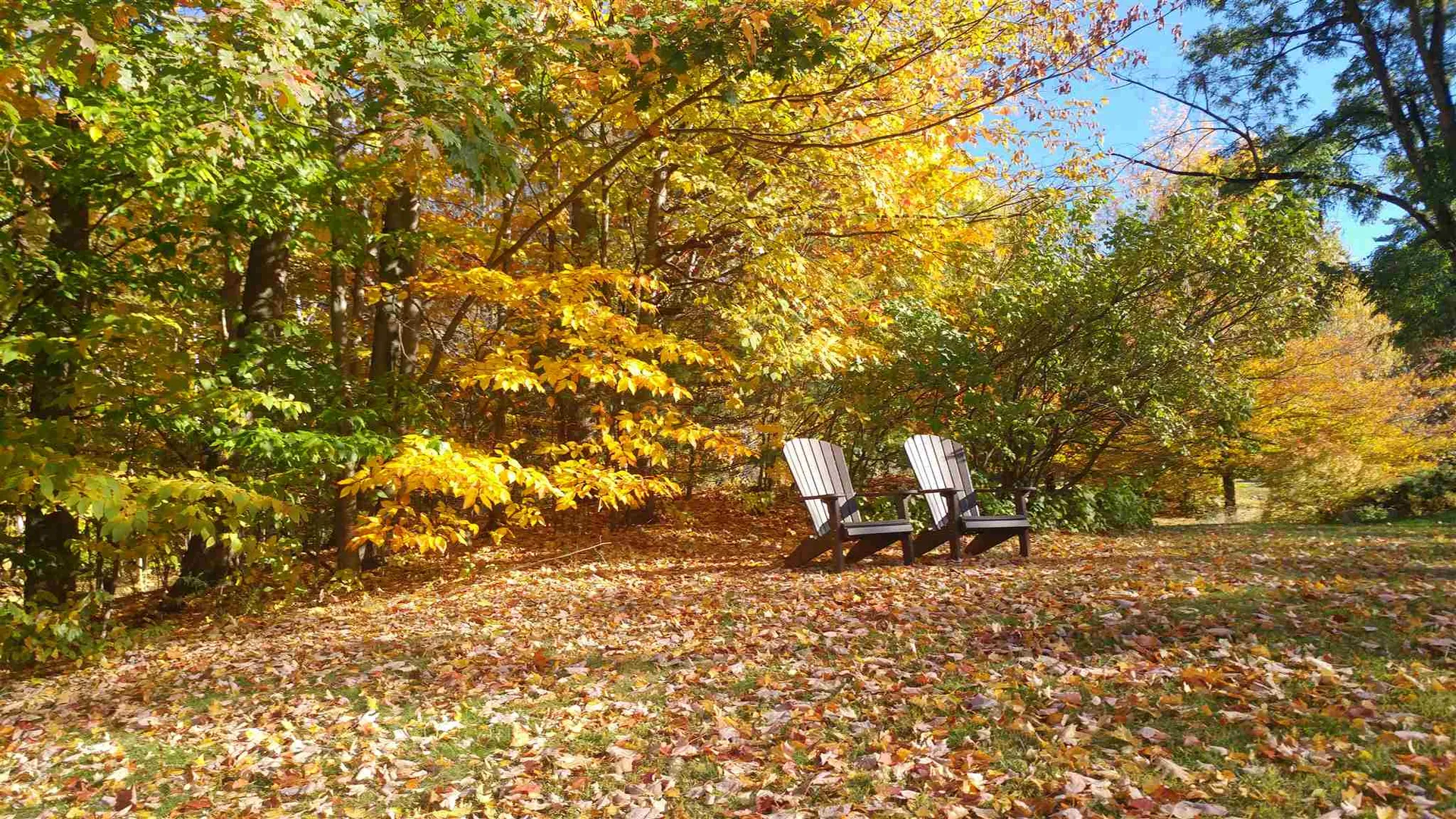 1131 Southview Drive Richmond VT 05477