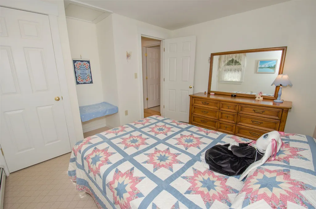 10 North Pikes Point Road Bristol NH 03222