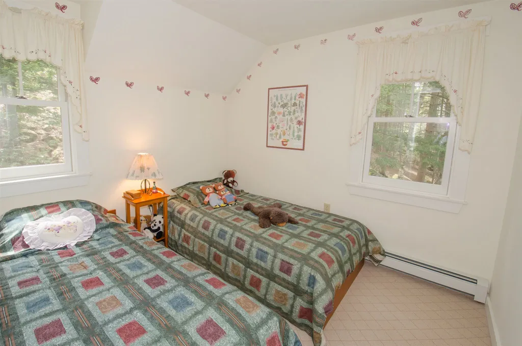 10 North Pikes Point Road Bristol NH 03222
