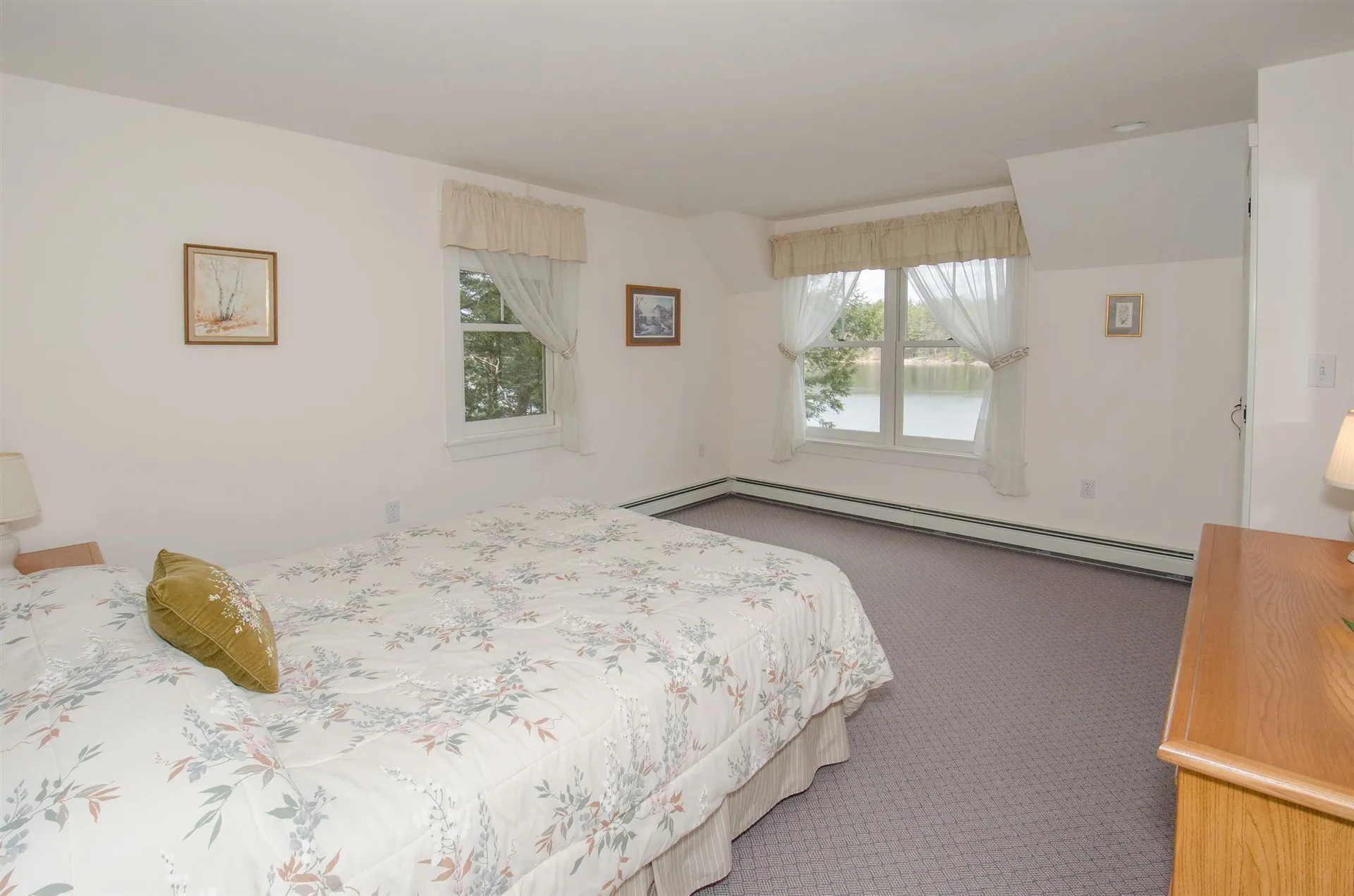 10 North Pikes Point Road Bristol NH 03222