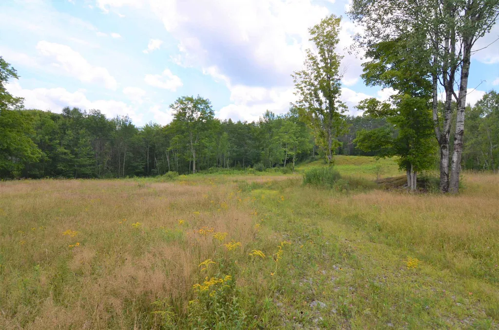 54 Split Rock Road Grantham NH 03753