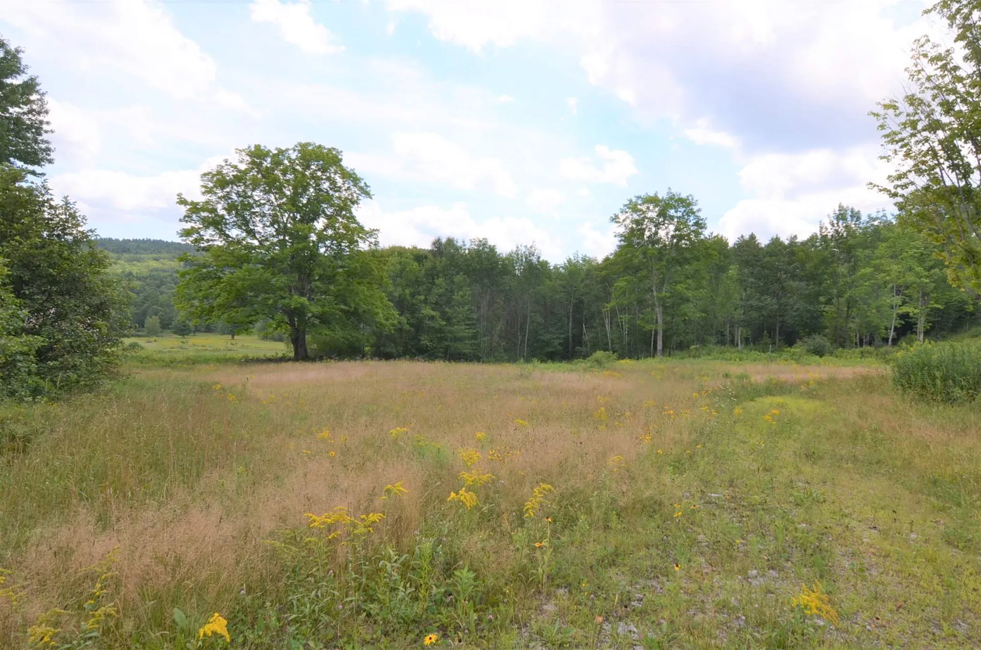 54 Split Rock Road Grantham NH 03753