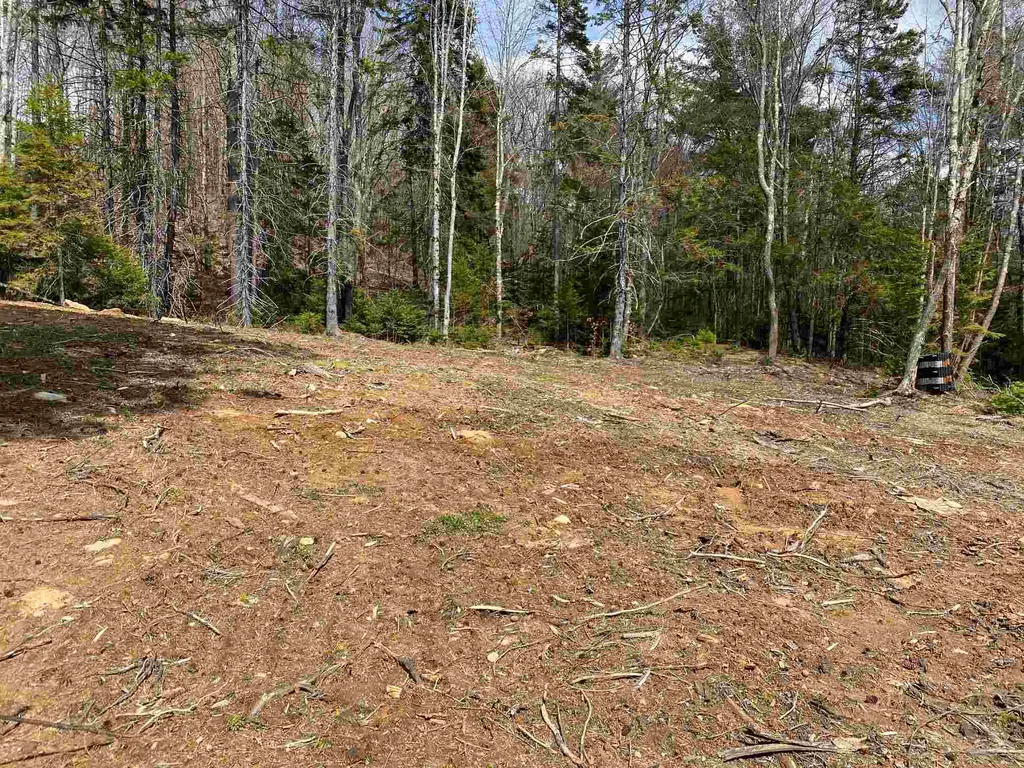 5 Titus Farm Road Wilmington VT 95363