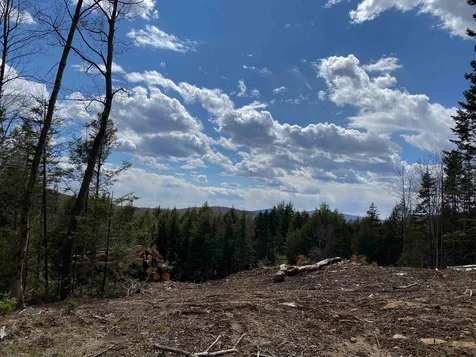 5 Titus Farm Road Wilmington VT 95363