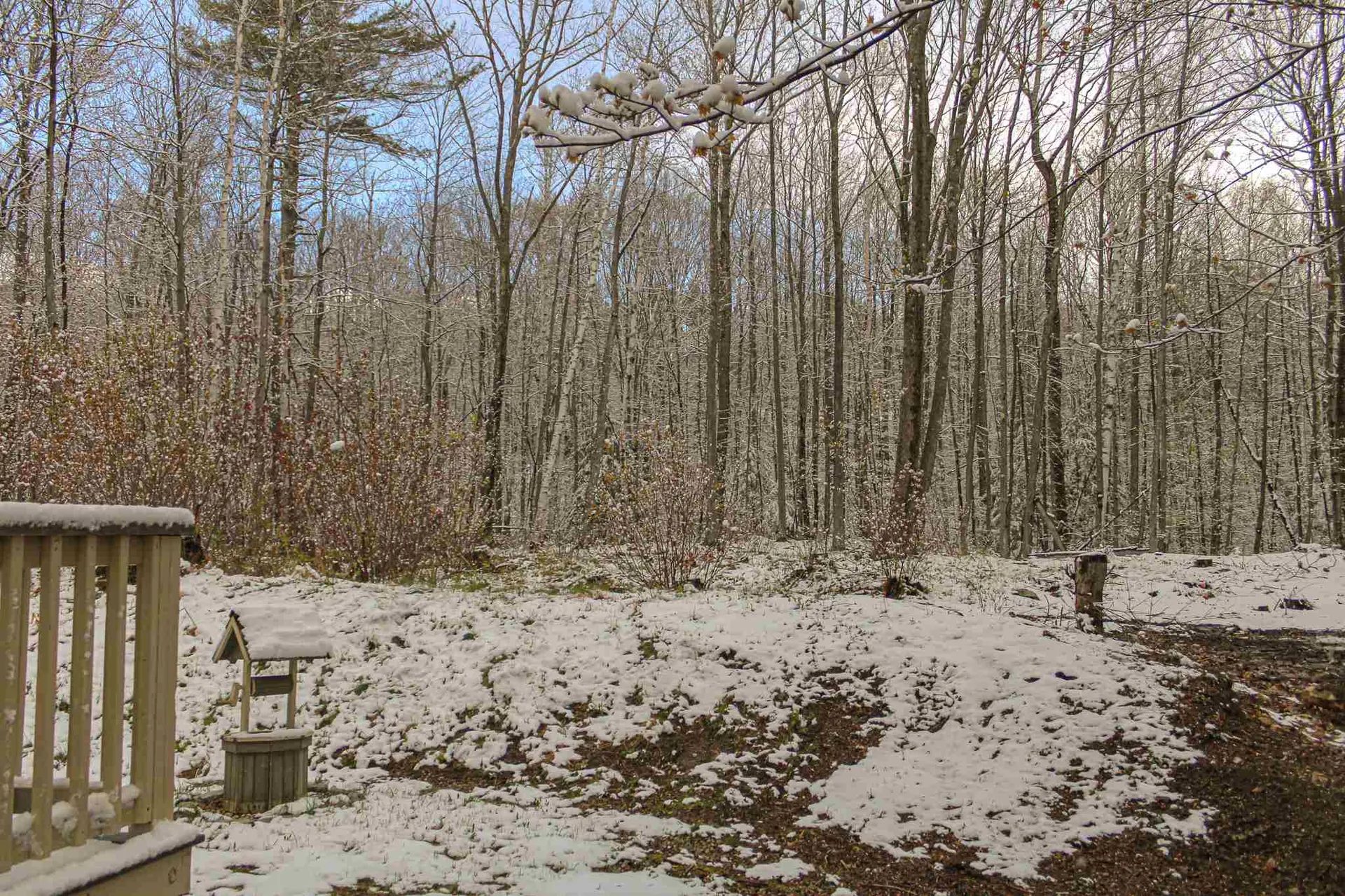 40 Cotton Hill Road Belmont NH 03220