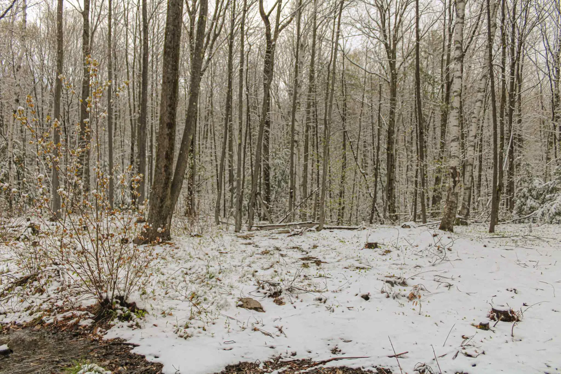40 Cotton Hill Road Belmont NH 03220
