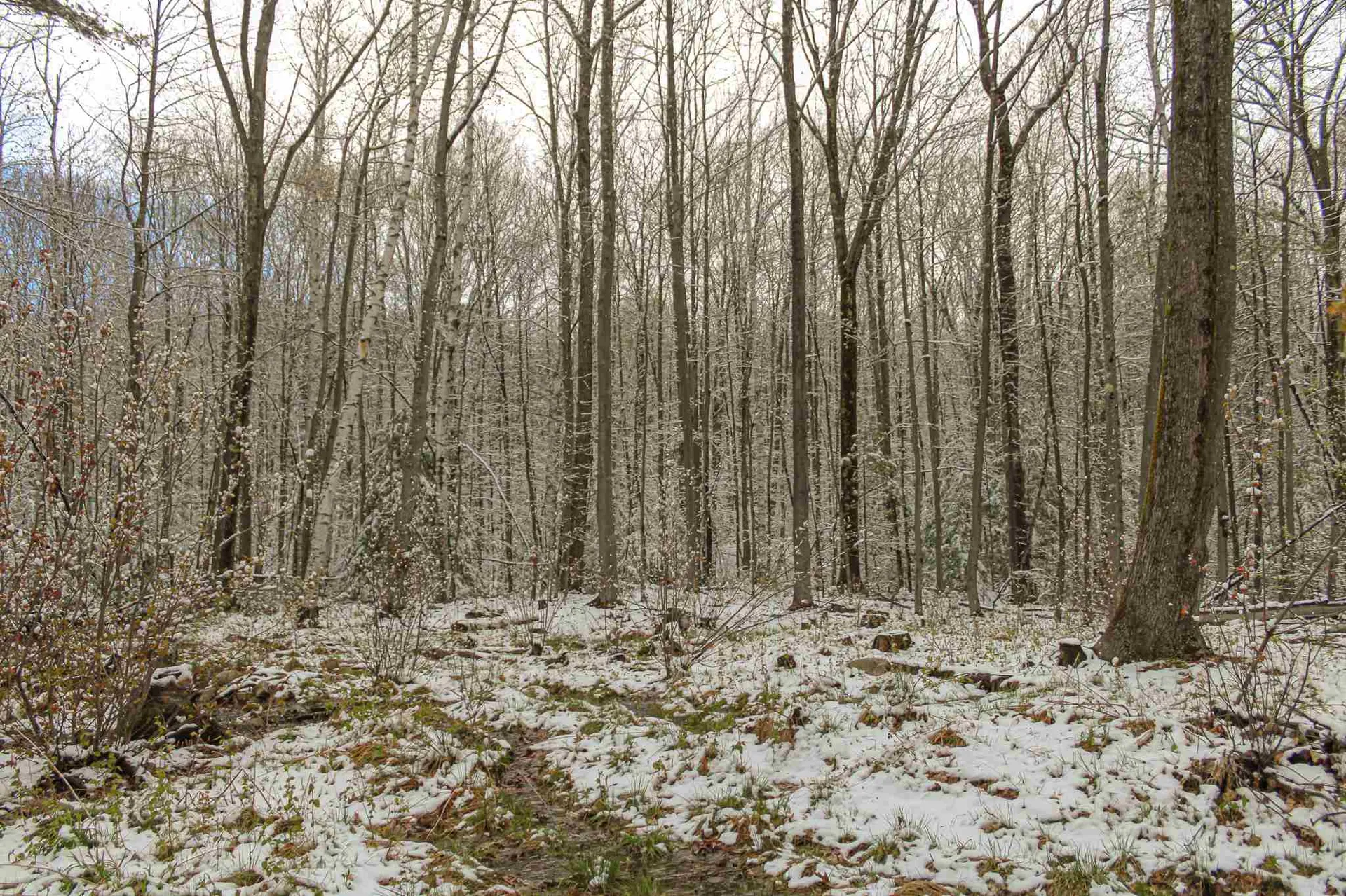 40 Cotton Hill Road Belmont NH 03220