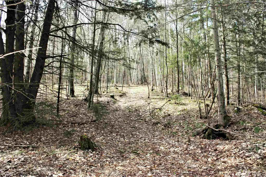 Masterson Road Barnard VT 05031