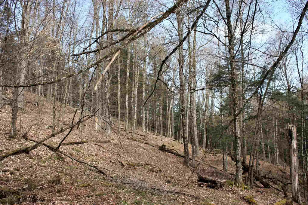 Masterson Road Barnard VT 05031