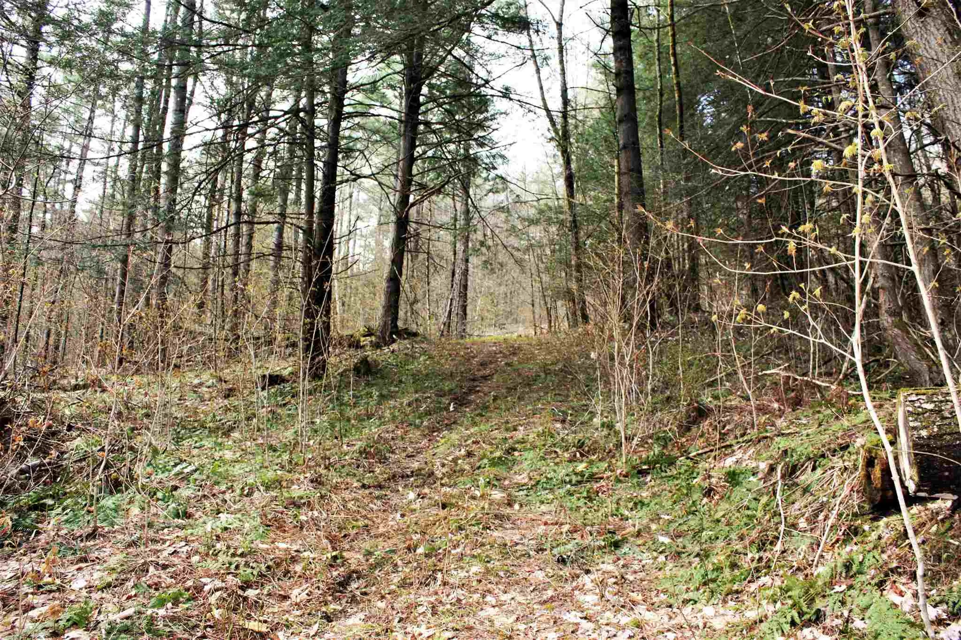 Masterson Road Barnard VT 05031