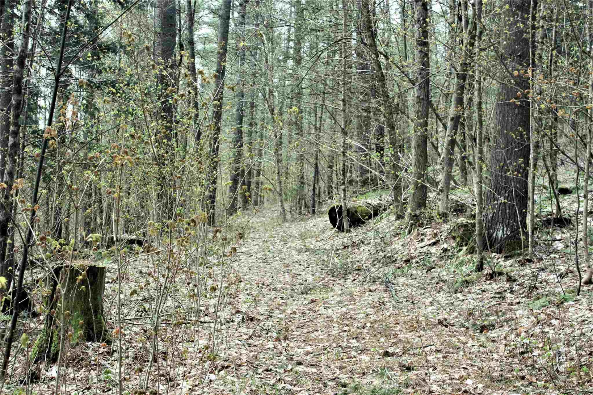 Masterson Road Barnard VT 05031