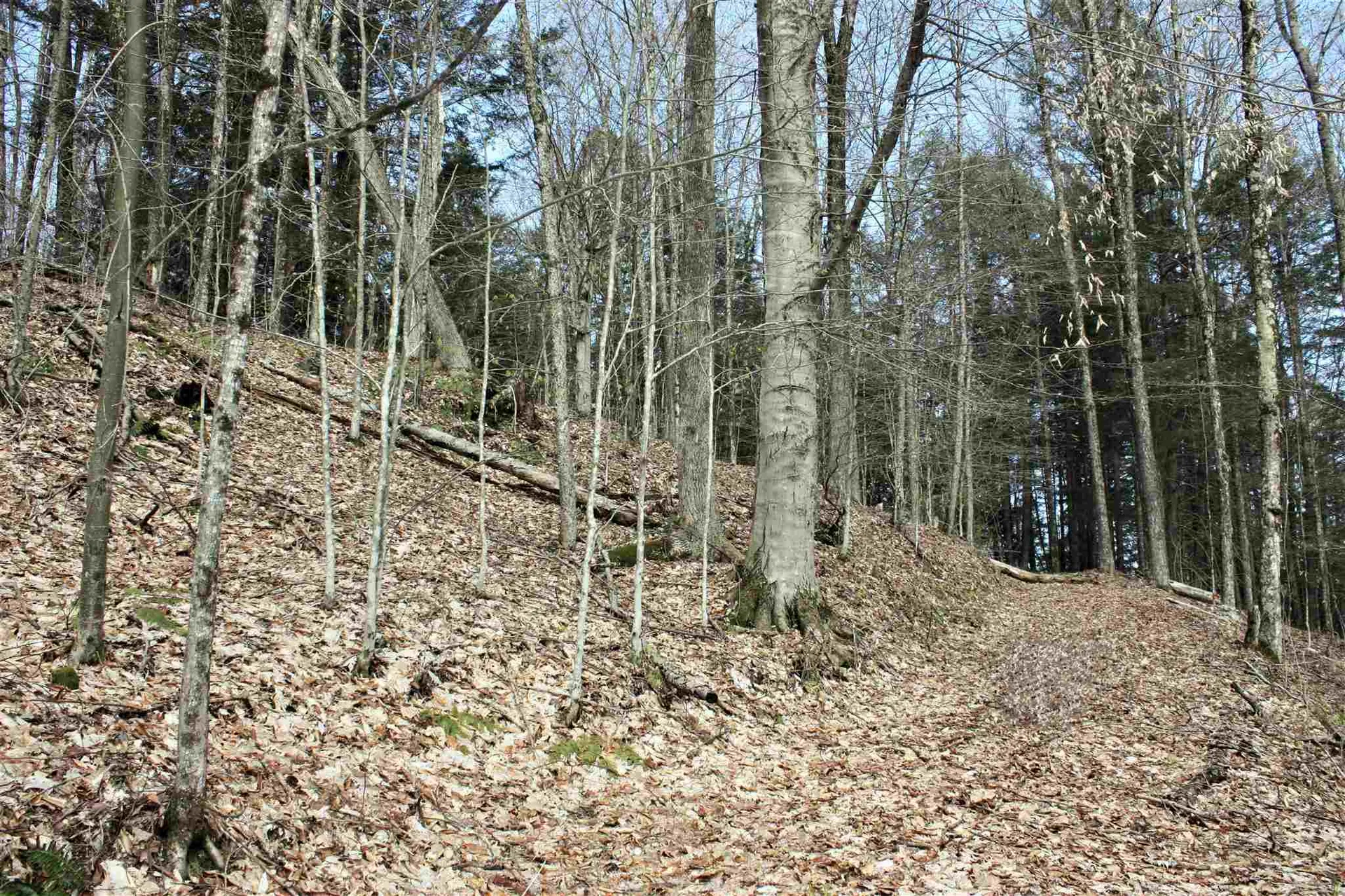 Masterson Road Barnard VT 05031