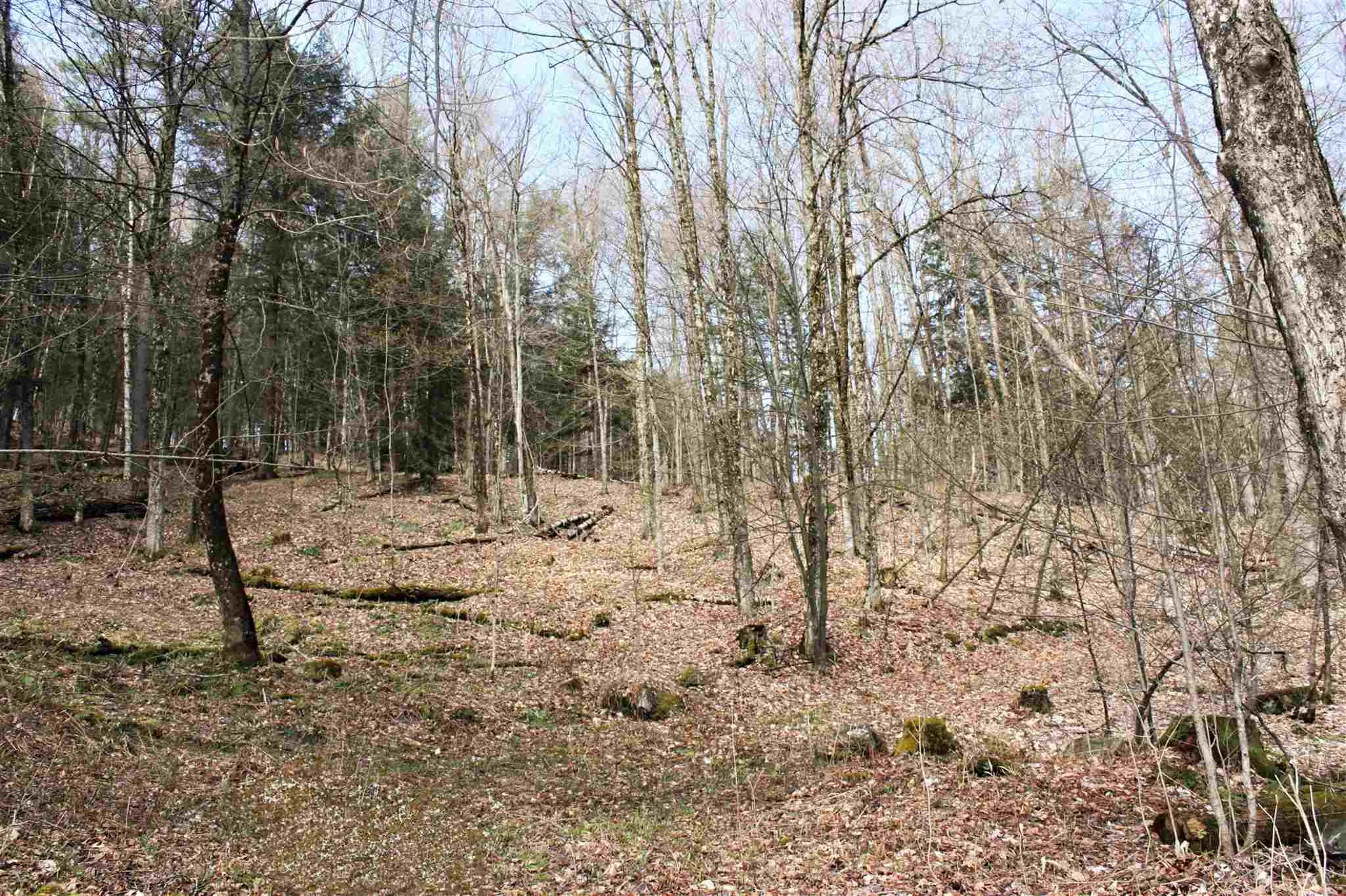 Masterson Road Barnard VT 05031