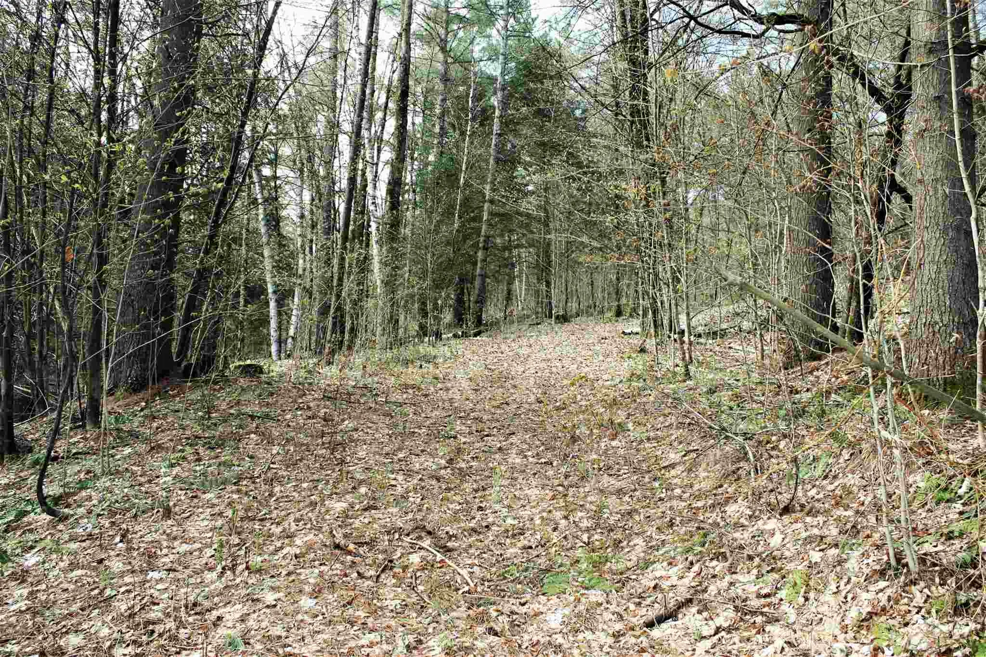 Masterson Road Barnard VT 05031