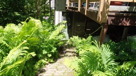 27 South Main Street Randolph VT 05060