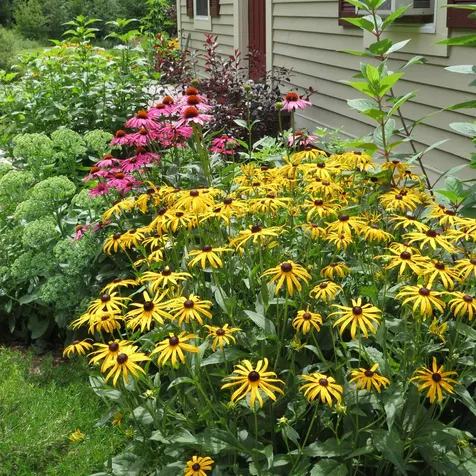 1590 Davis Road Cavendish VT 05142