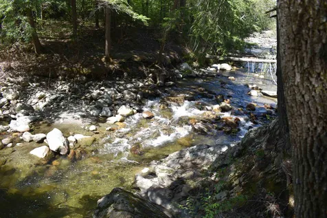 1590 Davis Road Cavendish VT 05142