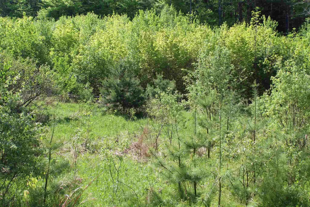 Tbd Fuller Road Newbury VT 05051