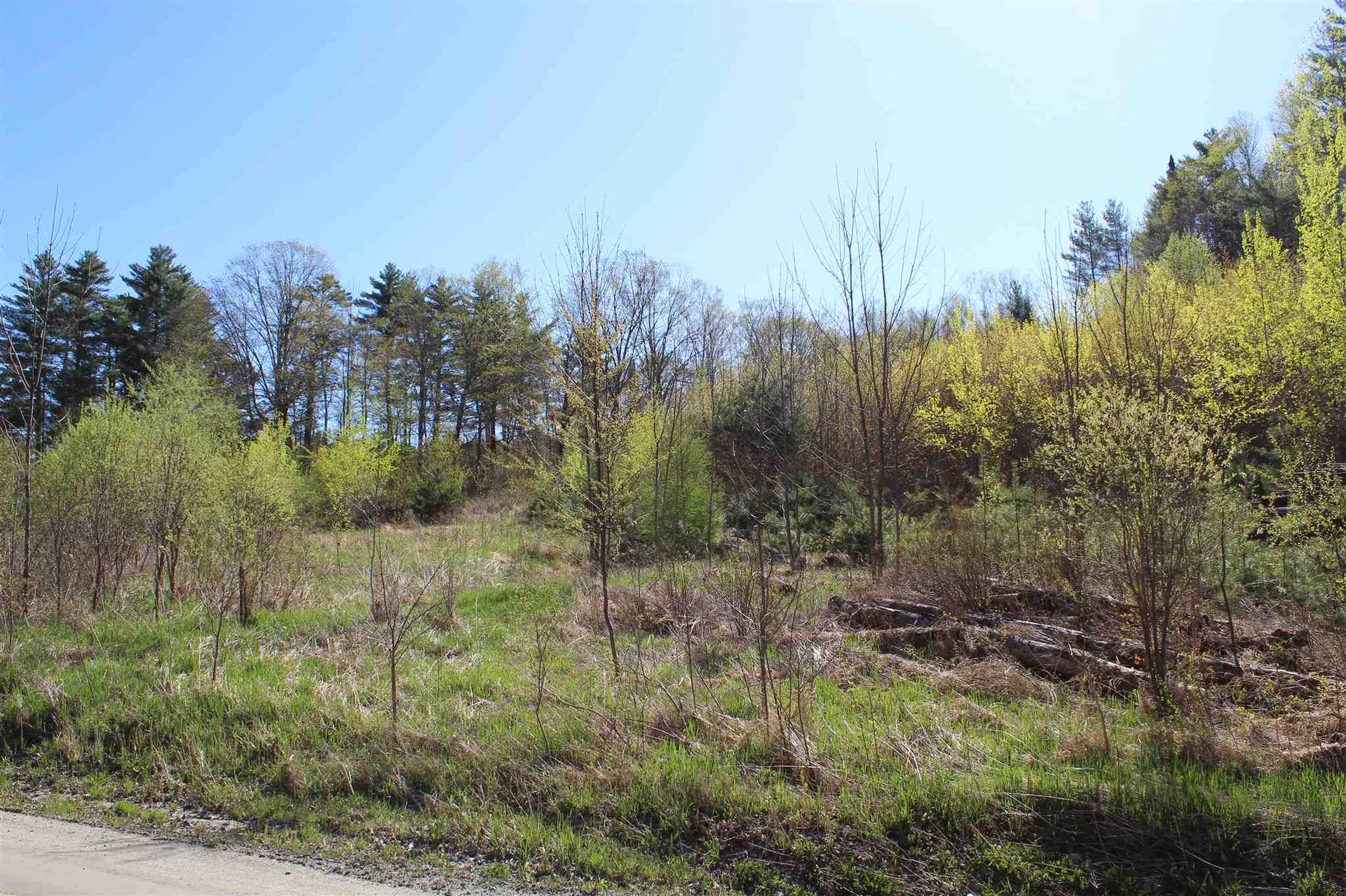 Tbd Fuller Road Newbury VT 05051