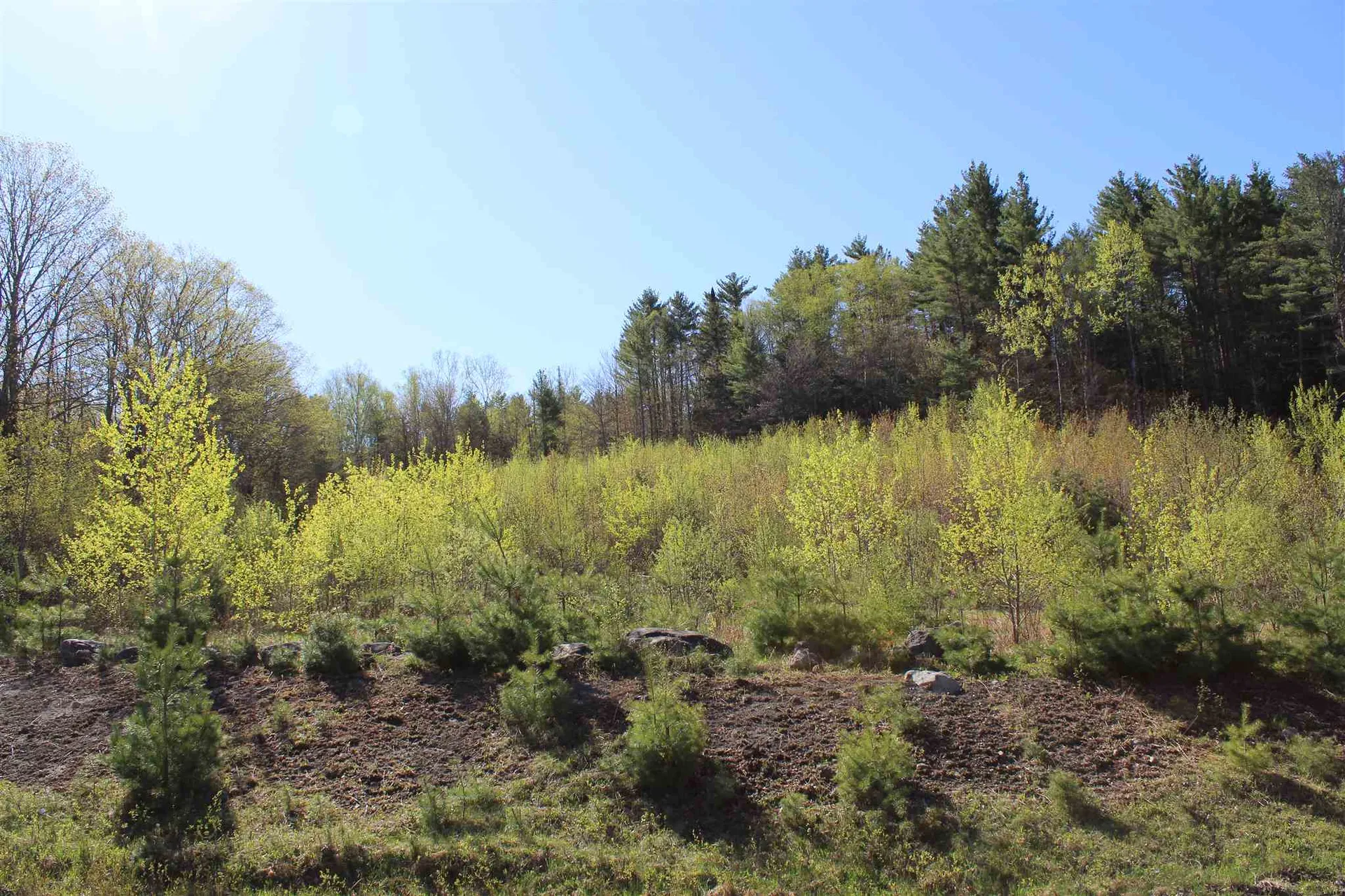 Tbd Fuller Road Newbury VT 05051