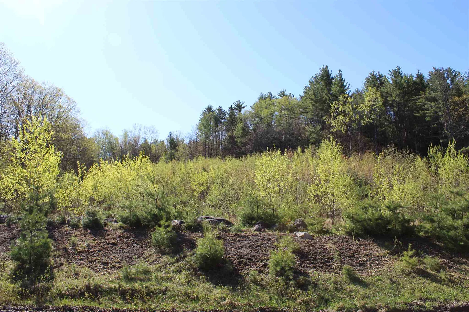 Tbd Fuller Road Newbury VT 05051