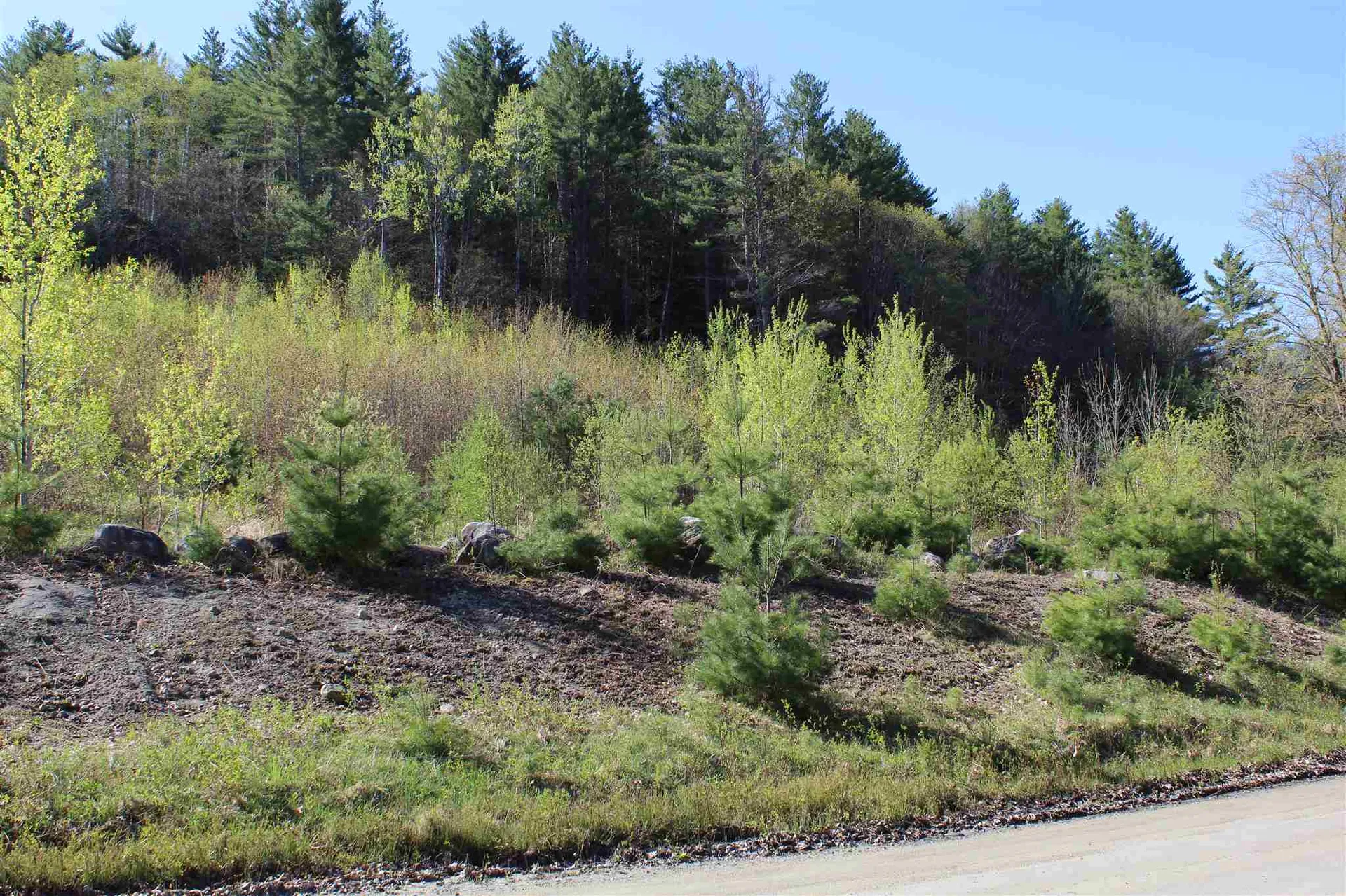 Tbd Fuller Road Newbury VT 05051