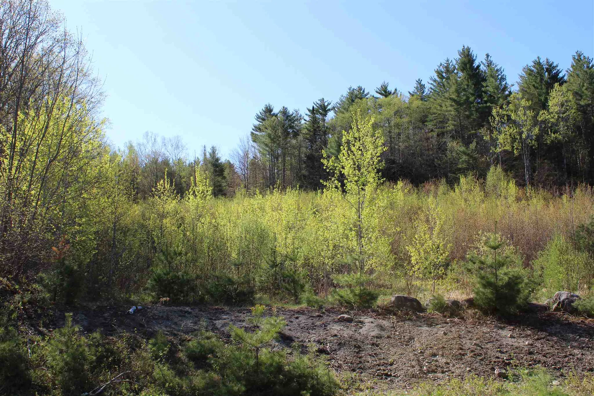 Tbd Fuller Road Newbury VT 05051