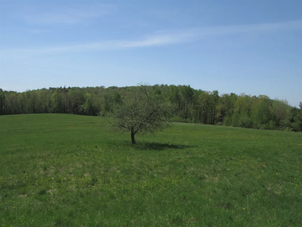1698 Morey Hill Road Craftsbury VT 05826