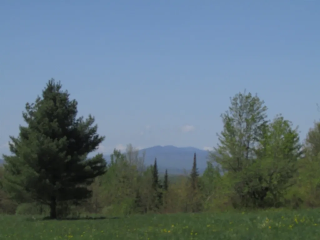 1698 Morey Hill Road Craftsbury VT 05826