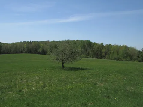 1698 Morey Hill Road Craftsbury VT 05826