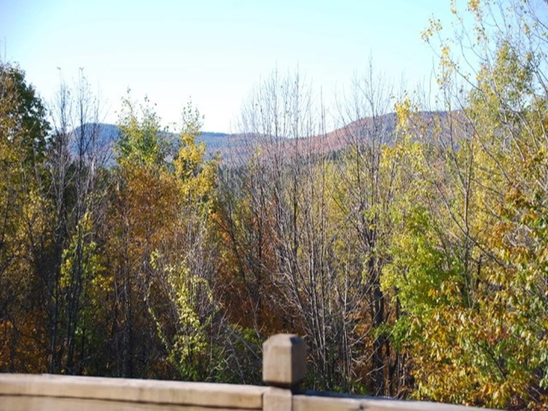 2 Casey Way Meredith NH 03253