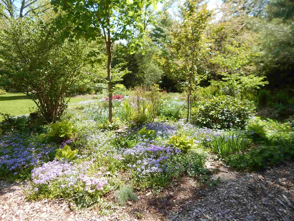 492 Pratt Road Alstead NH 03602