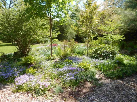 492 Pratt Road Alstead NH 03602