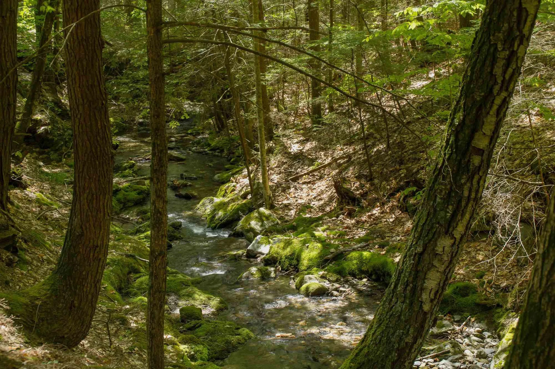 5536 Coolidge Highway Guilford VT 05301
