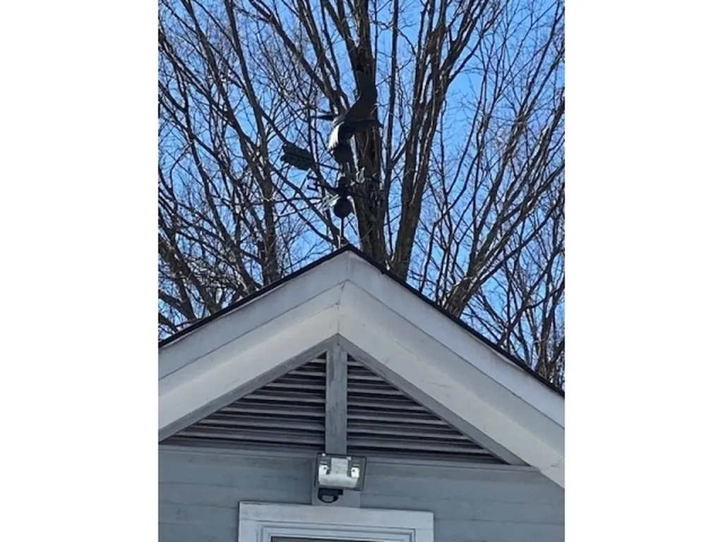 212 Eagle Ridge Road Dorset VT 05251