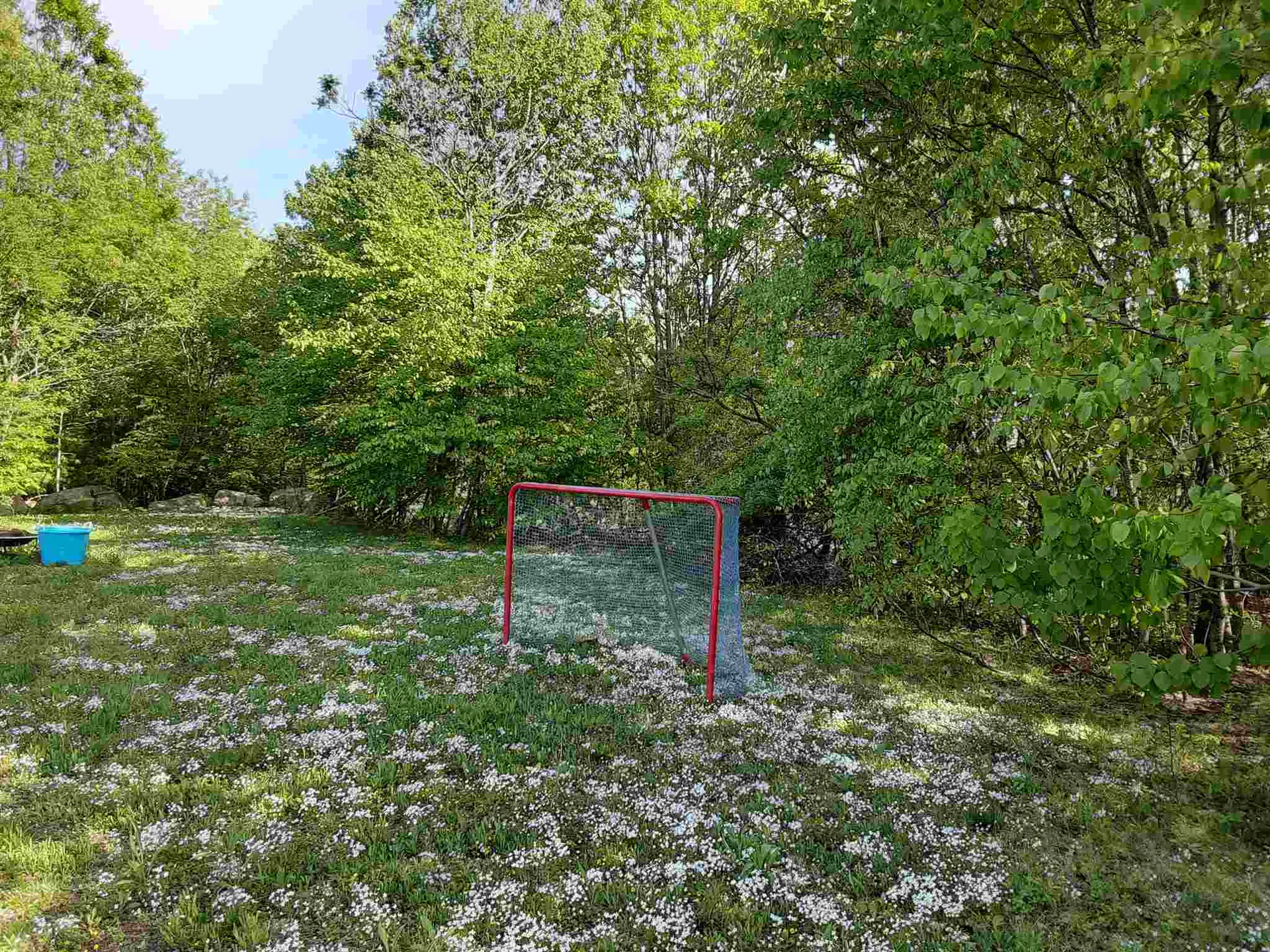 87a Pond Street Newton NH 03858